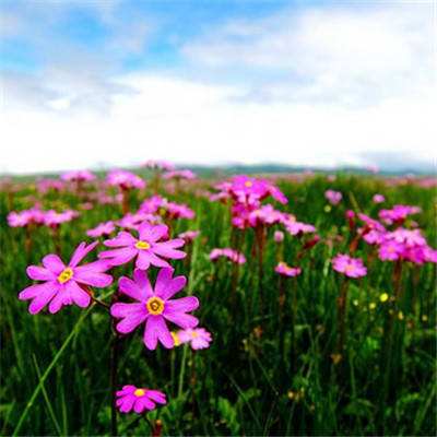 im电竞·(中国)官方网站截图