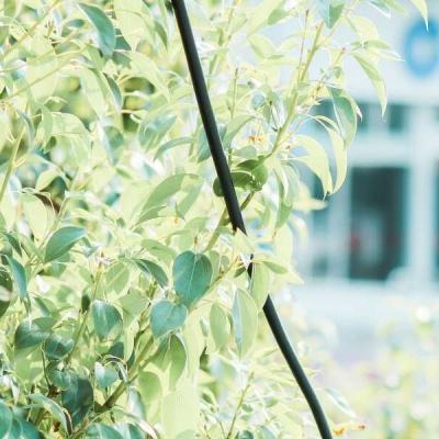 KOKapp手机app下载